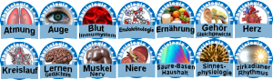 all_14_badges