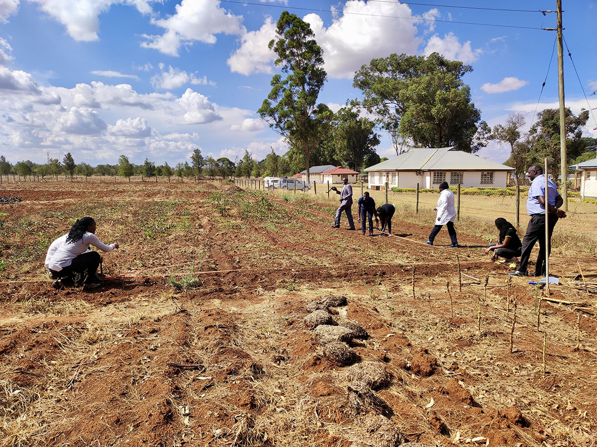 An image of the N2OSSA team marking out plots at the experimental agricultural field.