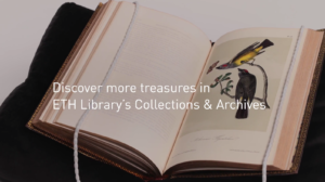 Discover_more_treasures