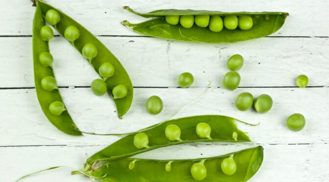 Plant-based proteins: Peas as a source of necessary amino acids for human nutrition