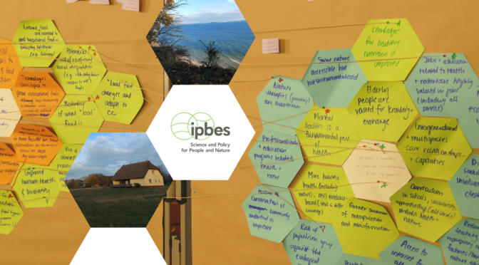 Exploring Positive Futures: Insights from an IPBES Youth Workshop on Biodiversity