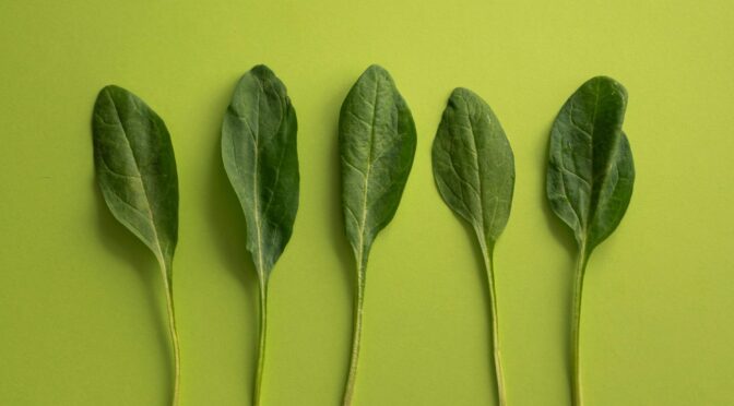 Could Swiss agriculture produce  Planetary Health Diet?