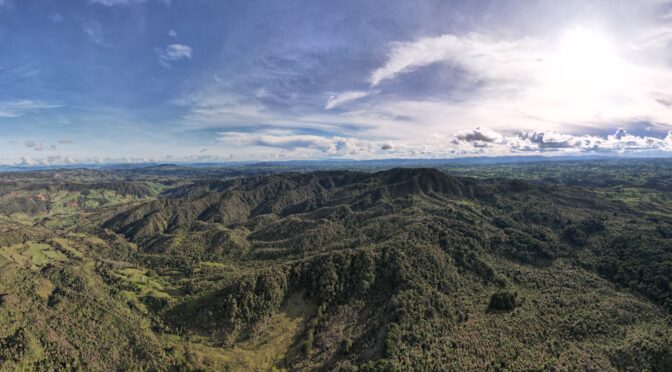 Unlocking Forest Restoration Success: DNA traces are Revolutionizing Wildlife Monitoring and Conservation