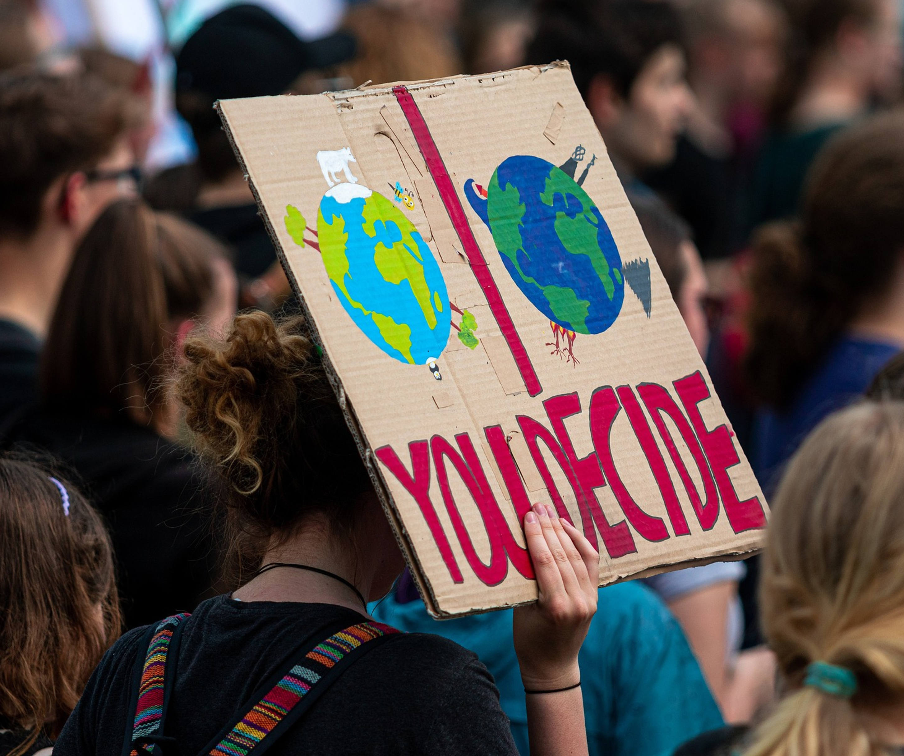 Cross-border Cooperation on Carbon Capture and Storage: Why Public Opinion Matters?