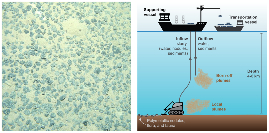 Deep-sea mining for our mobility transition: the quest for sustainable ...
