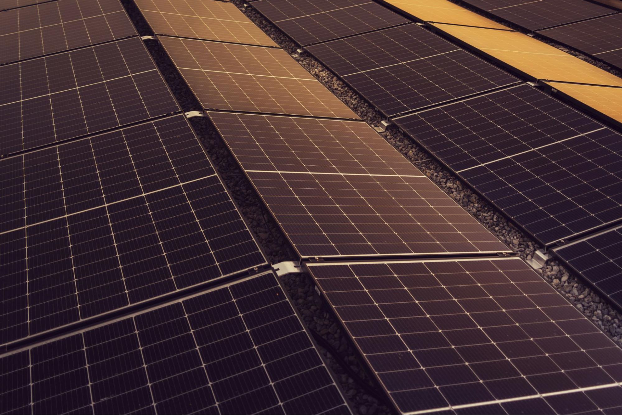 Sustainable Roofs Aren’t One-Size-Fits-All