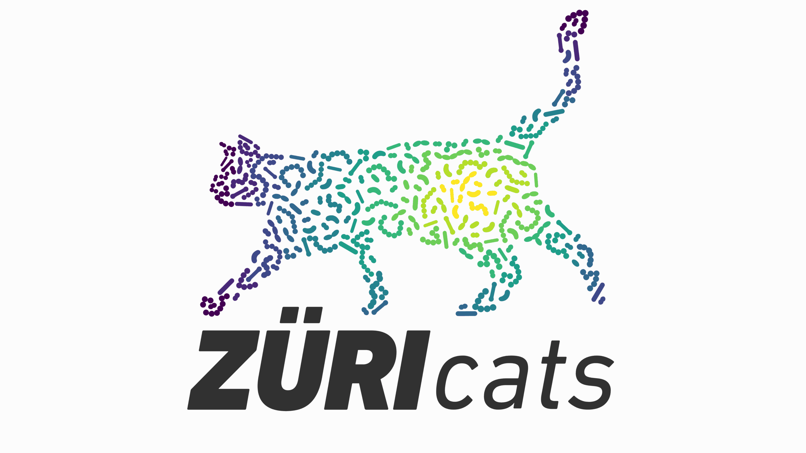 ZüriCats